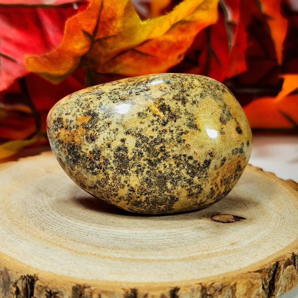 Dendritic Palm Stone